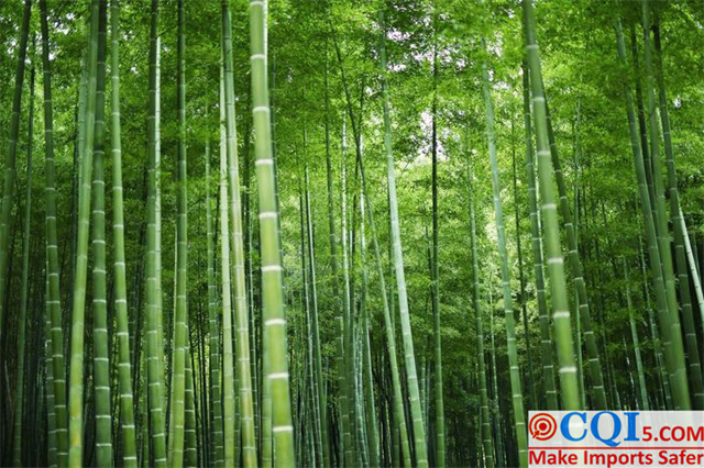 China Bamboo Wood Industry