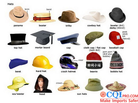 Hat Type